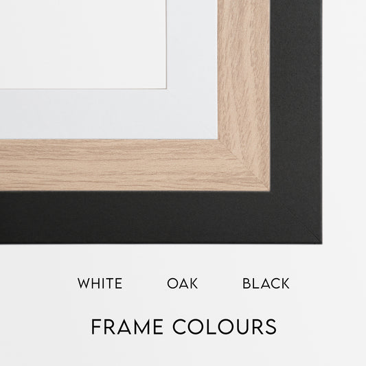 Framing Special
